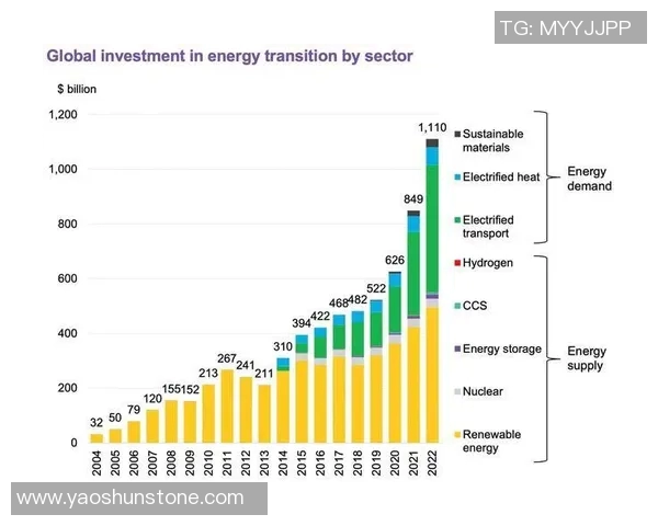 全球能源危机加剧 各国纷纷加大投资可再生能源以应对未来挑战