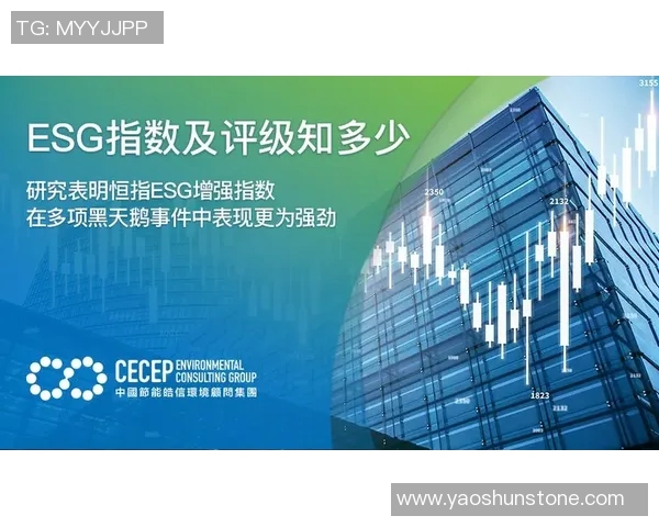 数据分析揭示LNG市场的强劲表现与未来发展潜力